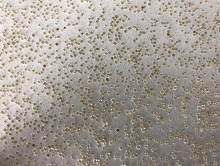 抚顺 油田固井玻璃微珠 耐压